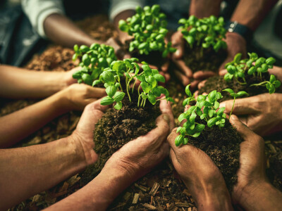 Green Challenge slotavond